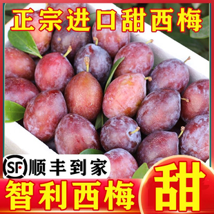 新鲜西梅5斤当季时令水果应季孕妇宝宝辅食黑布林多汁甜特产李子