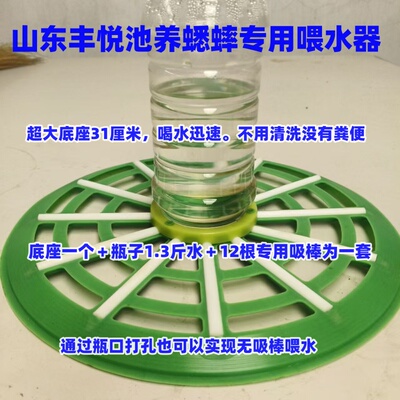 蟋蟀喂水器杜比亚喂水器大亚喂水器