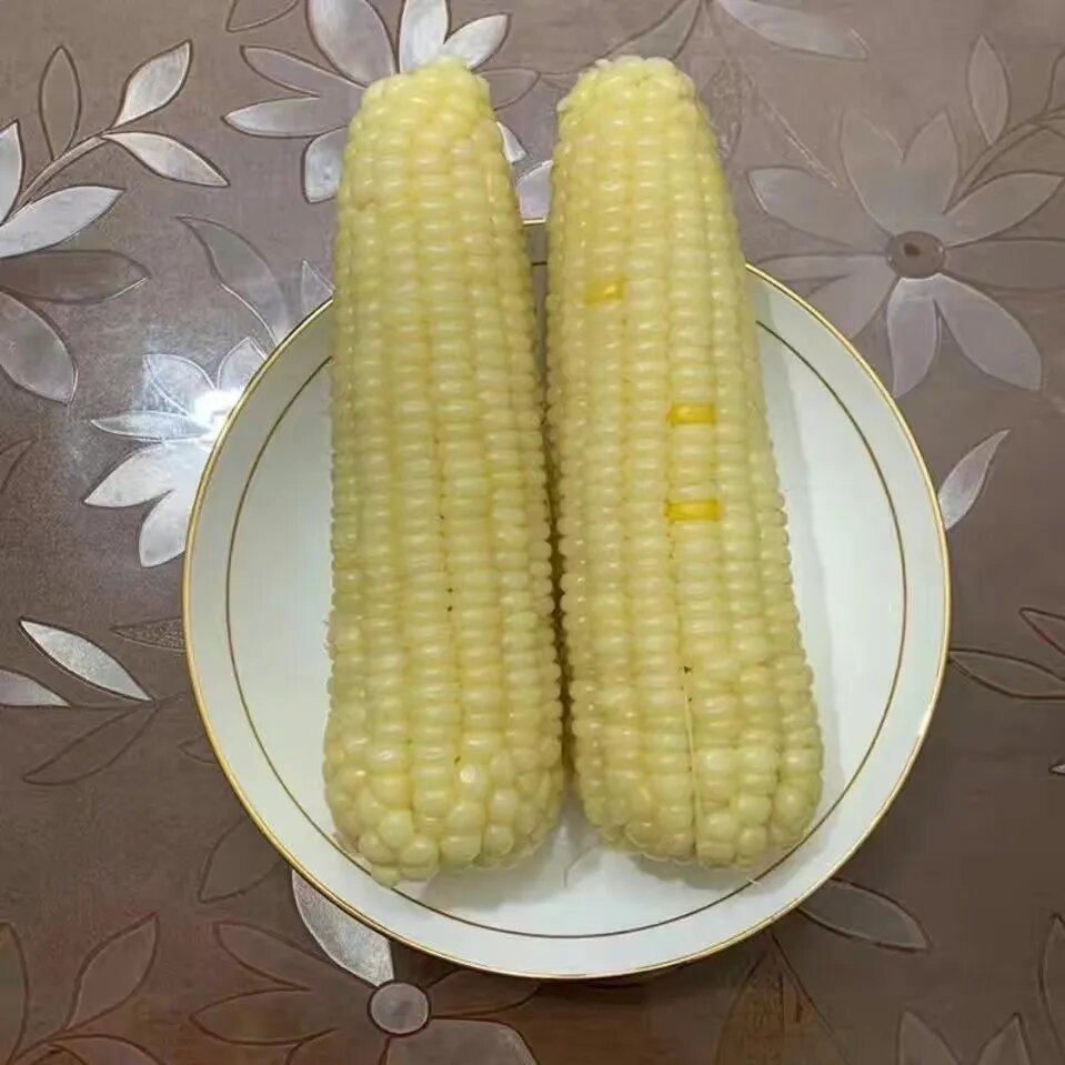 东北长白山白糯玉米棒产地发货粘玉米苞米大棒微甜糯原味速冻半熟,水产肉类/新鲜蔬果/熟食,新鲜玉米,淘宝优惠券,粉丝福利购,淘宝优惠卷