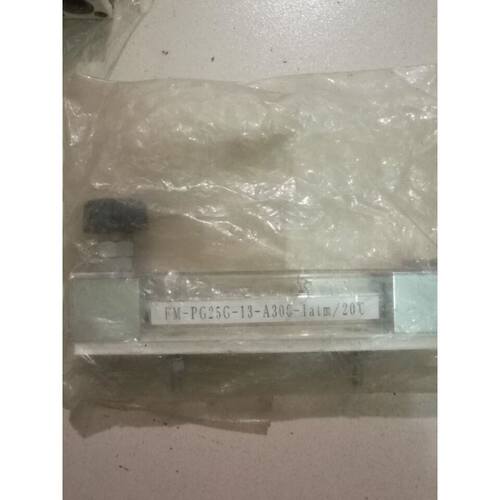 tofco流量计FM-PG25G-13-A300-1atm/20℃实物拍摄议