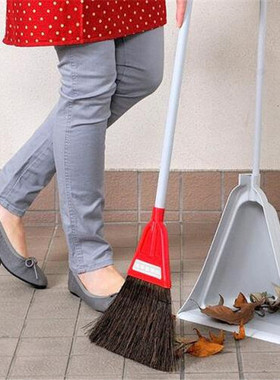 日本进口正品azuma扫帚撮子套装 落叶灰尘 棕毛本土生产树脂材质