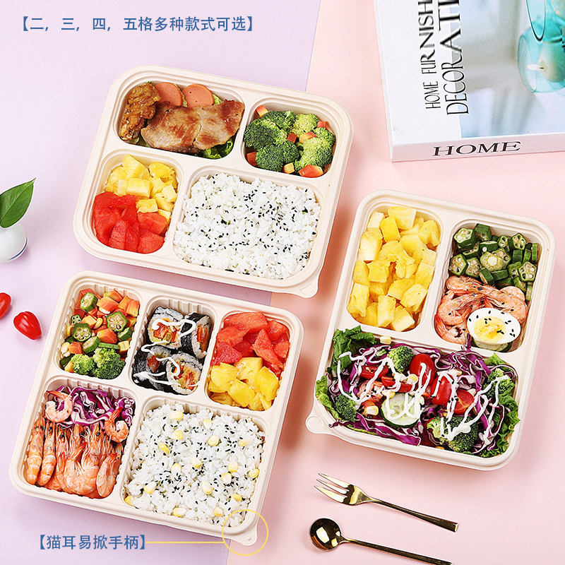 Green Lunch Solution: 4-Compartment Corn Starch Eco-Box - Product image 3