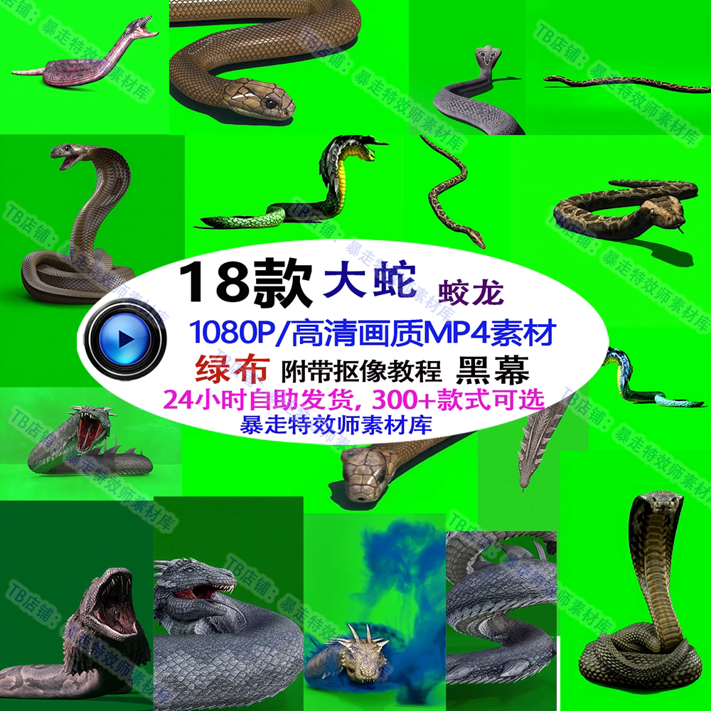 蛇神龙蛟龙动物特效绿幕高清黑幕免抠像pr剪映ae绿布视频合成素材