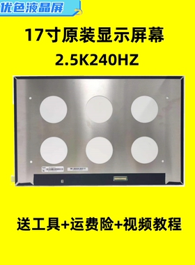 适用革命F6 创造者Z16 NE170QDM-NZ1 NZ2 2.5K 240HZ显示屏幕