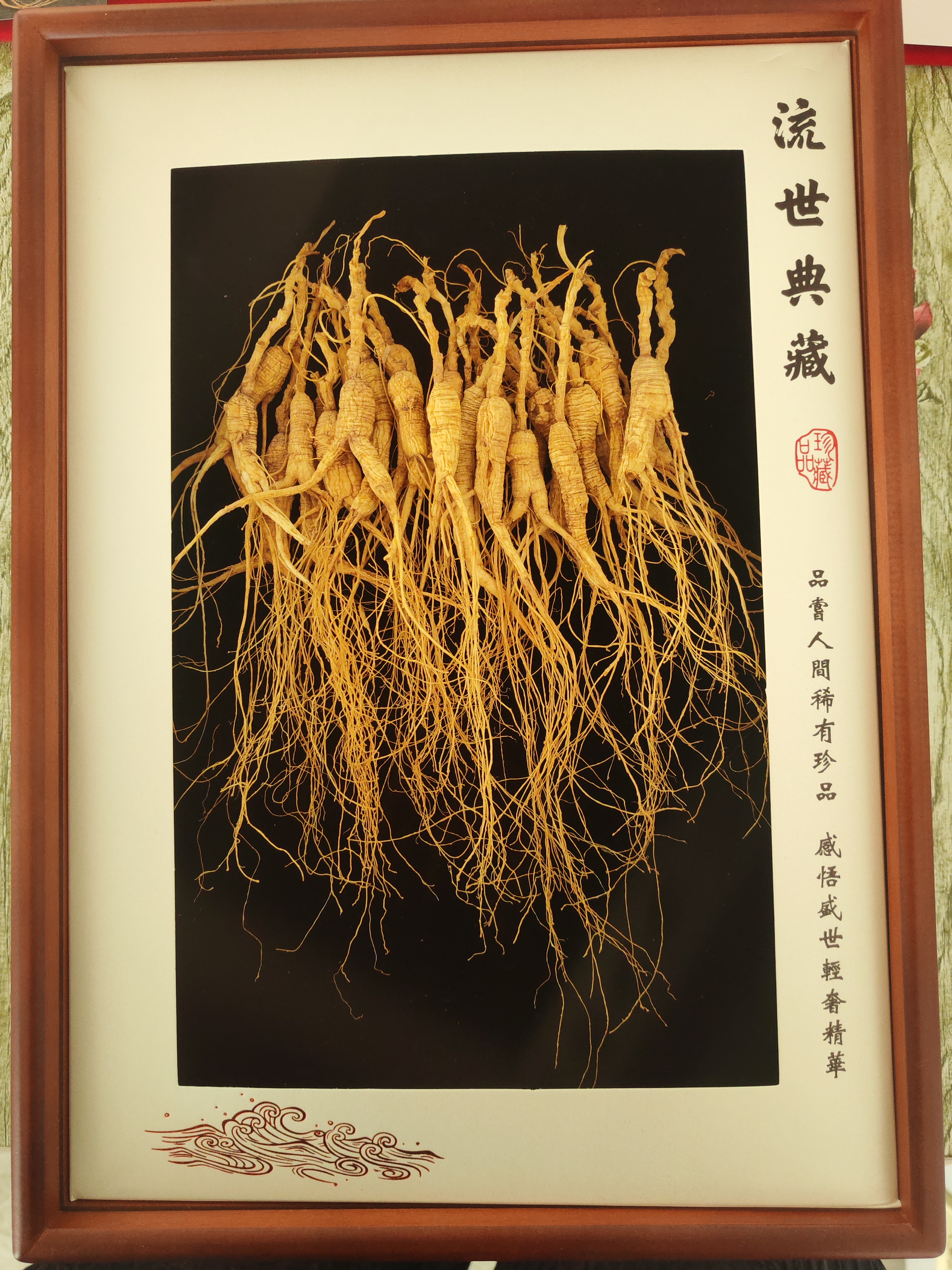 东北人参林下参老山参10-15年礼盒装无染色无硫磺熏无嫁接安全