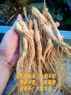 15年左右长白山林下干残参，可打粉品相不好效果不变，价格便宜，