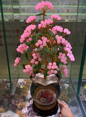 《金枝玉叶》摇钱树！粉玉果硕果累累！花开富贵！