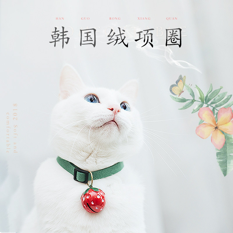 防丢项圈宠物身份牌猫狗牌装饰品中小幼犬可爱狗狗用品六只猫定制