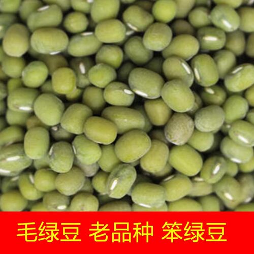 毛绿豆绿豆农家散装易煮豆沙发芽