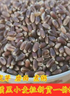 黑小麦优粮品芝新黑小麦农家