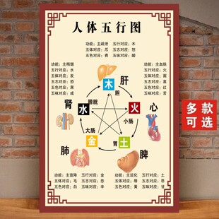 中医阴阳五行图解挂画人体五行五脏相生相克养生馆理疗宣传海报画