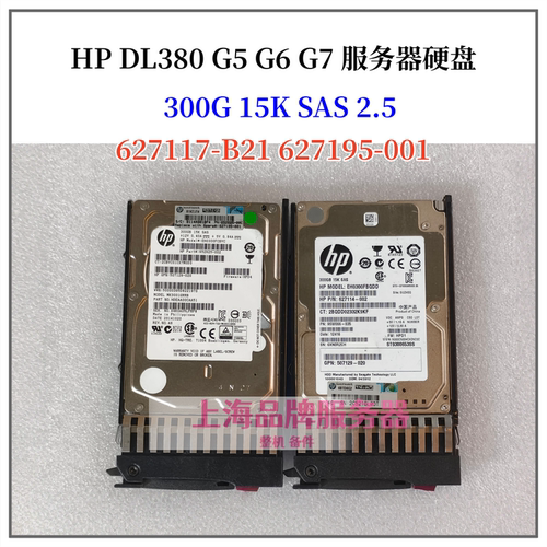 300GBSAS15K627195-001