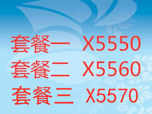 Intel/英特尔至强正式版