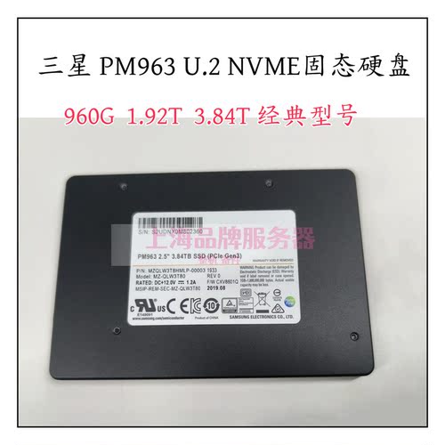 三星PM9631.92T3.84TBU.2硬盘