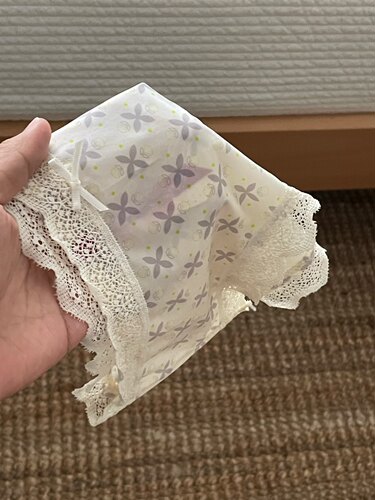 清冷感～蕾丝边女士日常内裤透气简约薄款舒适棉裆中腰三角内裤