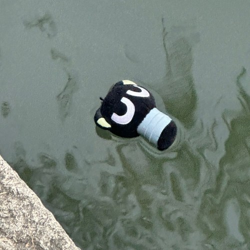 罗小黑挂件被师父的铁片困住了