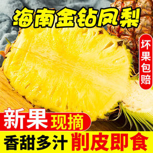 海南直发金钻凤梨现摘多汁特产无眼正宗大果新鲜水果应季芒果凤梨