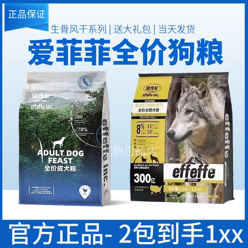 effeffe鲜肉泰迪比熊金毛幼犬