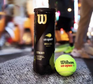 美网成人比赛网球 塑罐3粒装 WRT106200 wilson 原生羊毛