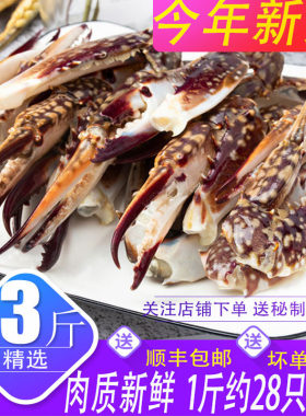 冷冻梭子蟹腿新鲜速冻蟹钳蟹脚