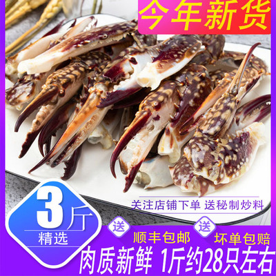 冷冻梭子蟹腿新鲜速冻蟹钳蟹脚