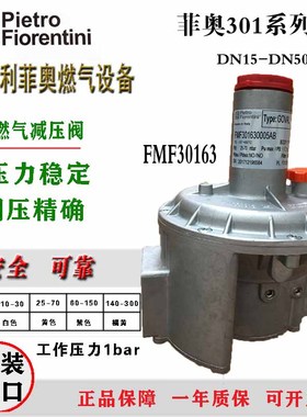 菲奥(Fiorentini)31164过滤减压阀30163燃气稳压阀 天燃气调压器