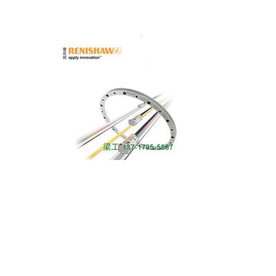 正品雷尼绍RENISHAW光栅