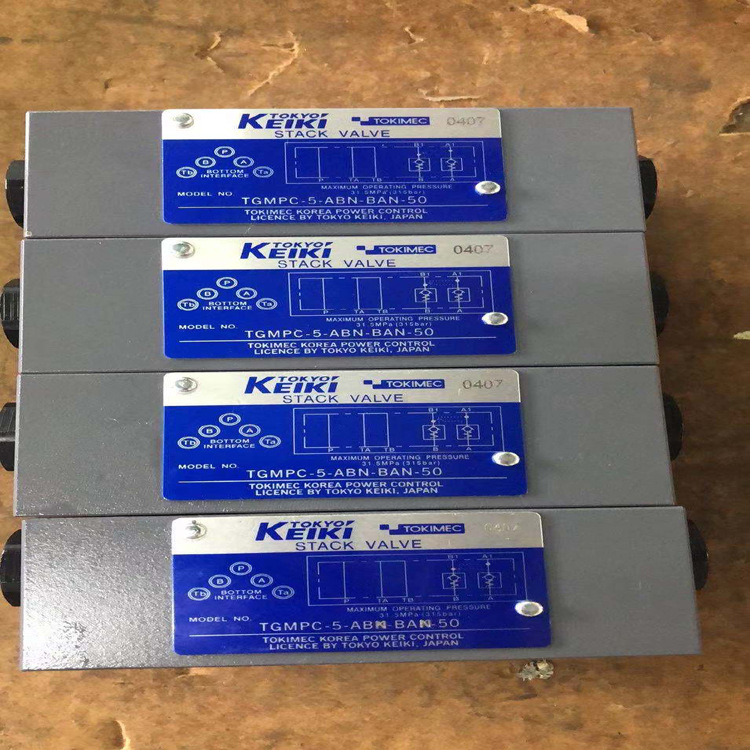 DG5VC-H8-PN24-JA1日本东