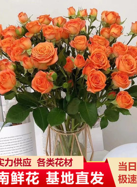多头玫瑰鲜花水养插花花束发顺丰