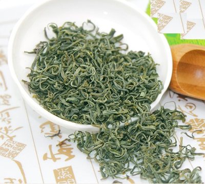 九龙绿芽春茶归来客高山生态绿茶新茶直销包邮茶叶 250 克