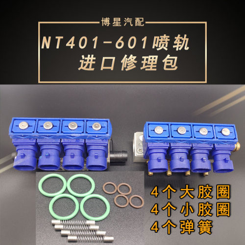 CNG喷轨修理包弹簧爱丽舍世嘉东风风神S30原车CNG喷轨进口修理包