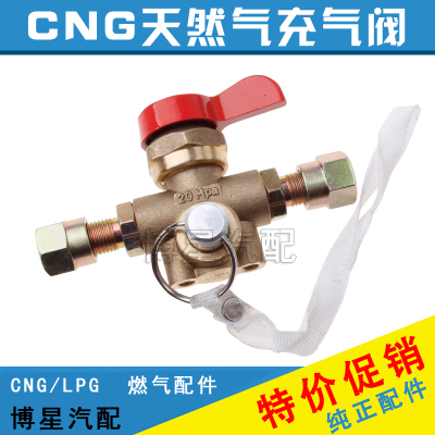 铜制汽车油改气CNG天然气燃气充气阀门加气阀开关充气头冲气配件