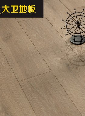 大卫地板 强化复合地板 12mm DWMG72 逸秋 1218×195