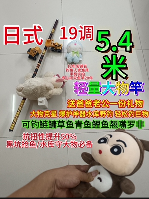 日式二手5.4米19调超轻超硬钓鱼竿大物竿钓鲢鳙草鱼巨物综合手竿