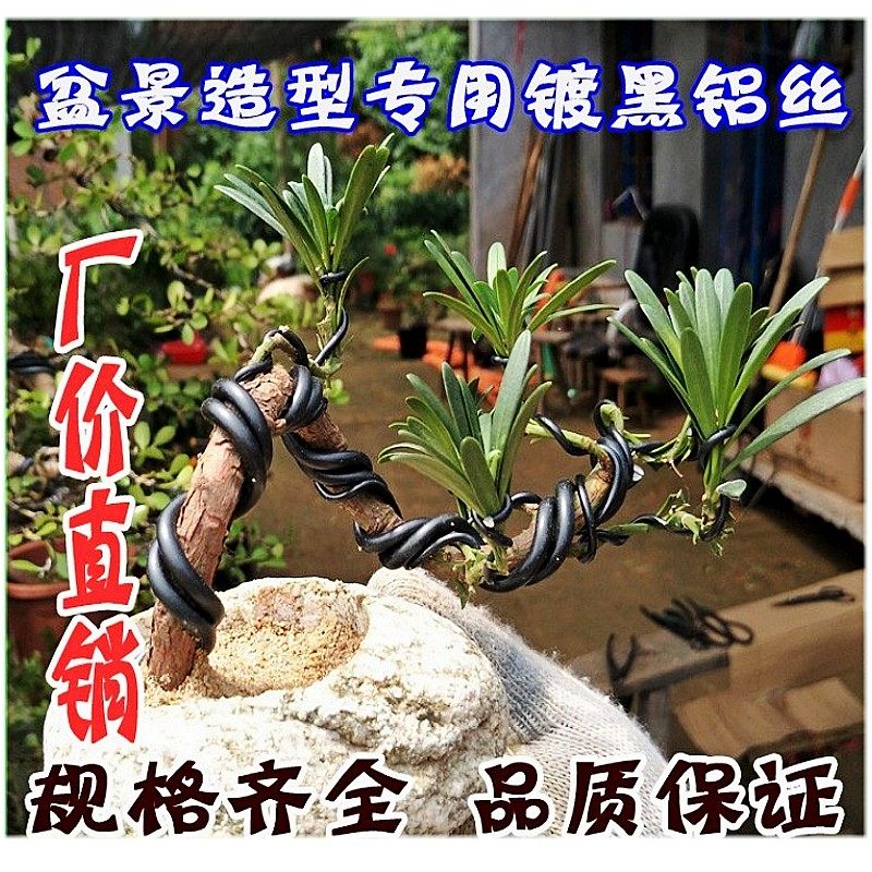 园艺造型专用黑色软铝条 铝丝 盆景整形定型蟠扎丝铝线 定型材料