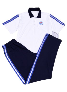 东莞市万江中学高中高一高二特价清货纯全棉运动校服夏冬季装T恤