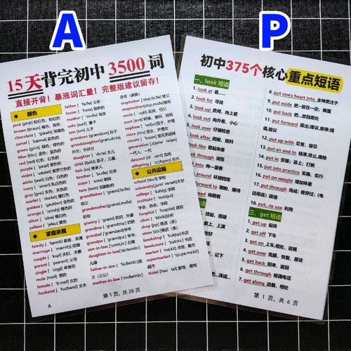 初中英语必背3500个单词常考重点短语汇总复习背诵A4塑封学习卡片