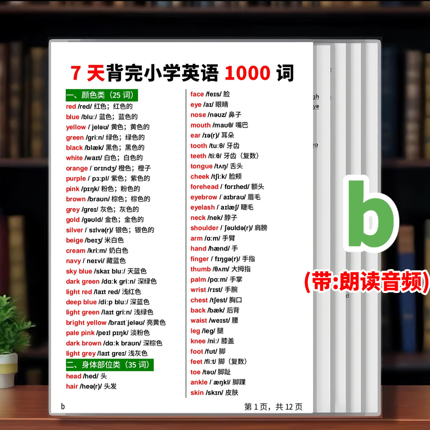 7天背完小学英语1000词单词分类短语语法知识点汇总塑封卡片闪卡
