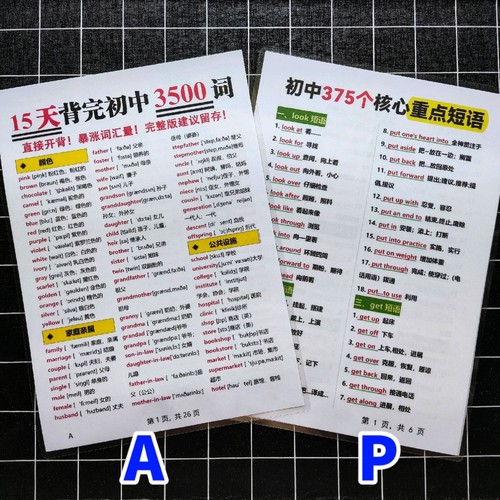 初中英语必背3500个单词常考重点短语汇总复习背诵A4塑封学习卡片