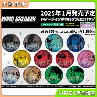 【Hpoi现货】BellHouse 防风铃 WIND BREAKER 单色闪吧唧徽章周边