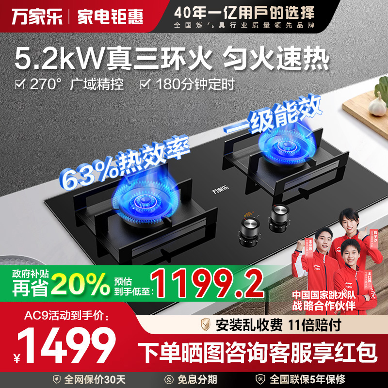 大火力双灶燃气灶家用厨房