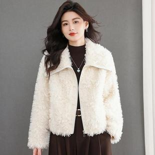 轻奢大翻领仿皮草外套女短款拉链宽松加厚高级感毛绒外套秋冬女装