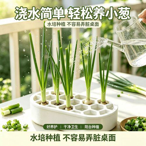 水培多孔育苗盘阳台懒人种菜盆