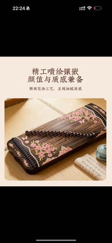 花小筝70cm便携21弦小古筝初学者入门练习演奏