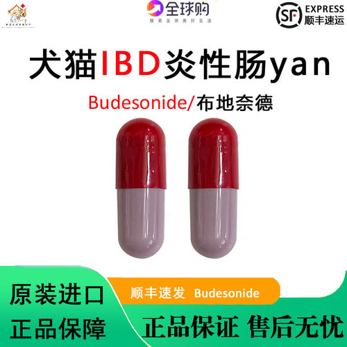 进口布地奈德Budesonid猫犬猫IBD