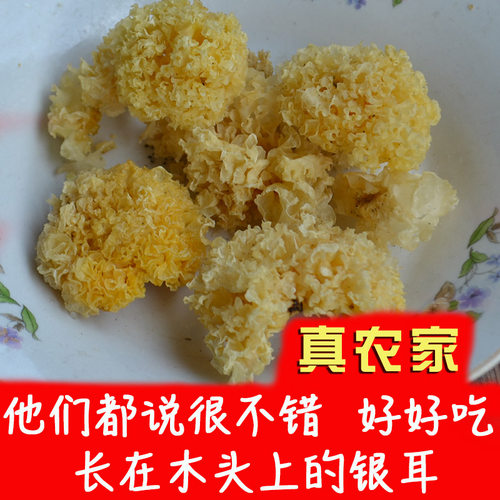 庆元山珍土特产农家椴木银耳干货小朵雪耳长在木头上白木耳食用菌 - 封面