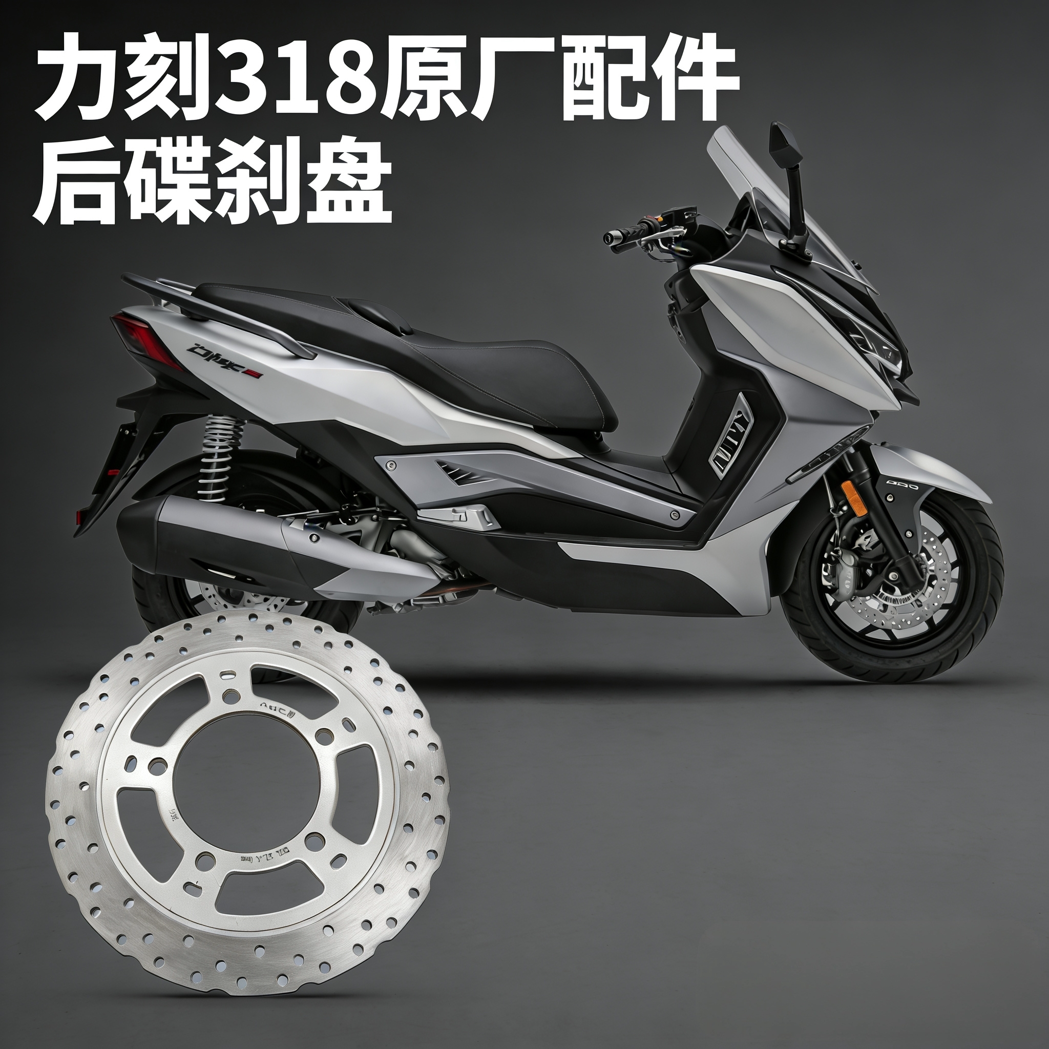 原厂配件力刻318GT/300/250/369 后碟刹盘通用原厂规格前后刹车盘