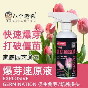 八个老头爆芽素原液多肉三角梅兰花植物通用促芽分化浓缩营养液