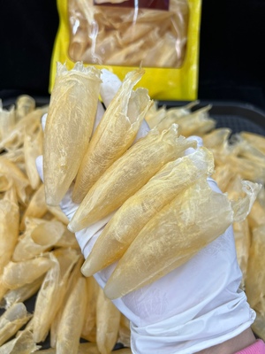 优选黄花胶北品深海鱼肚