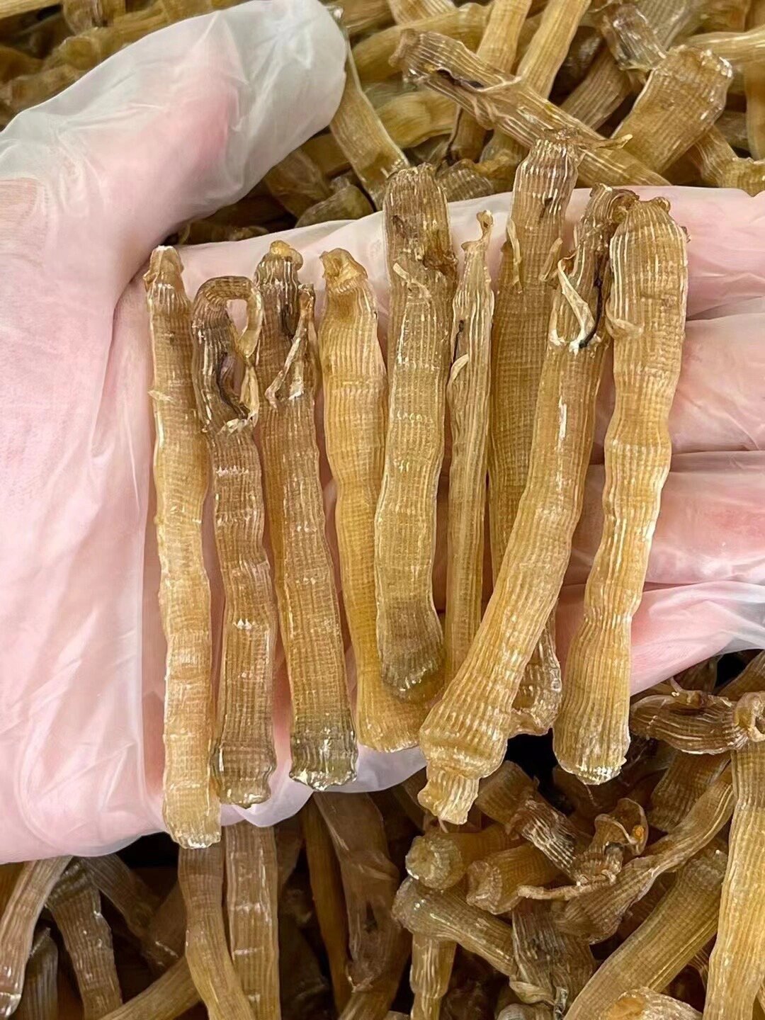 大沙虫野生干货干净无沙袋煲粥煲汤新鲜晒干湛江特产非北海